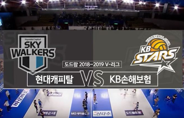 11월 5일 경기 하이라이트 (vs 현대캐피탈)