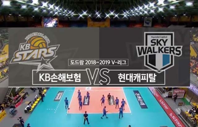 11월 23일 경기 하이라이트 (vs 현대캐피탈)