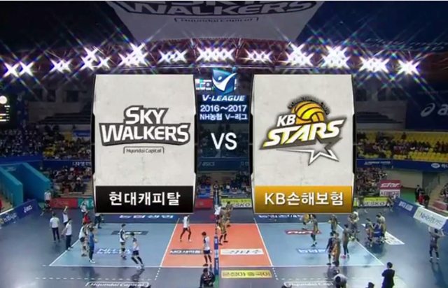 [2016-2017 V리그] 11월 19일 vs 현대캐피탈