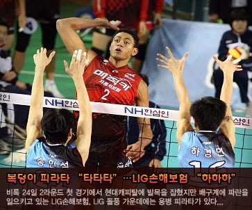 복덩이 피라타 “타타타”…LIG손해보험 “하하하”