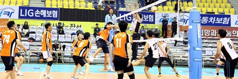 LIG손해보험 배구단, 